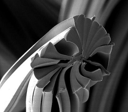 Evolon® New Generation super-microfilaments (c) 2017 Freudenberg Performance Materials Evolon® New Generation super-microfilaments (c) 2017 Freudenberg Performance Materials