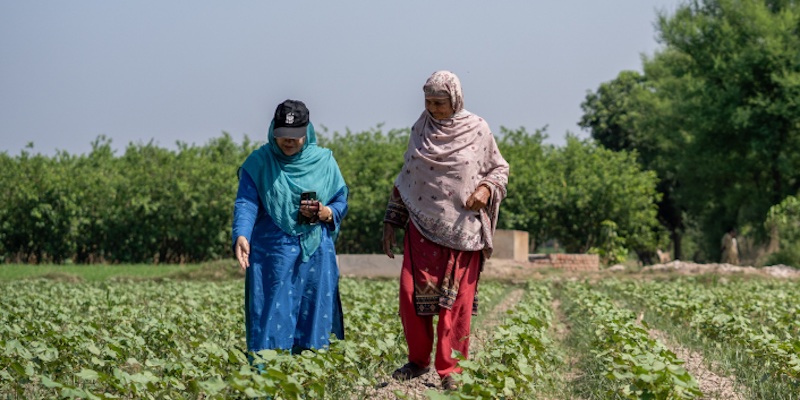 Photo credit: Eventrra/Better Cotton Photo credit: Eventrra/Better Cotton