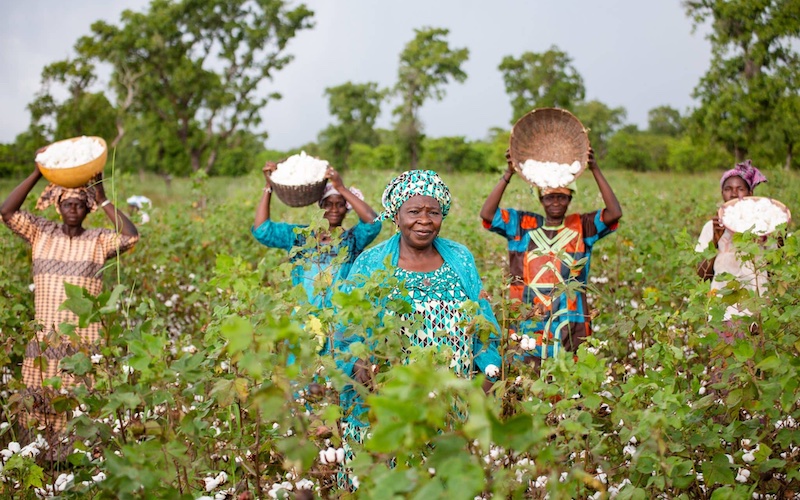 Tata Djire, Agronomist, with cotton farmers in a field in Togoya Photo Credit: Better Cotton/Seun Adatsi. Location: Kolondieba, Mali. 2019 Tata Djire, Agronomist, with cotton farmers in a field in Togoya Photo Credit: Better Cotton/Seun Adatsi. Location: Kolondieba, Mali. 2019