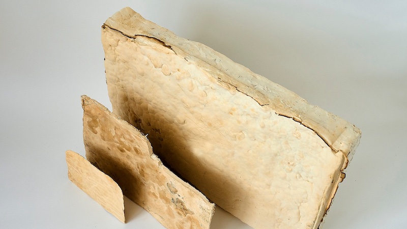 Flexible mycelium materials in different thicknesses can be used as upholstery material, insulation board or alternatives to leather © Fraunhofer IAP / Jadwiga Galties Flexible mycelium materials in different thicknesses can be used as upholstery material, insulation board or alternatives to leather © Fraunhofer IAP / Jadwiga Galties