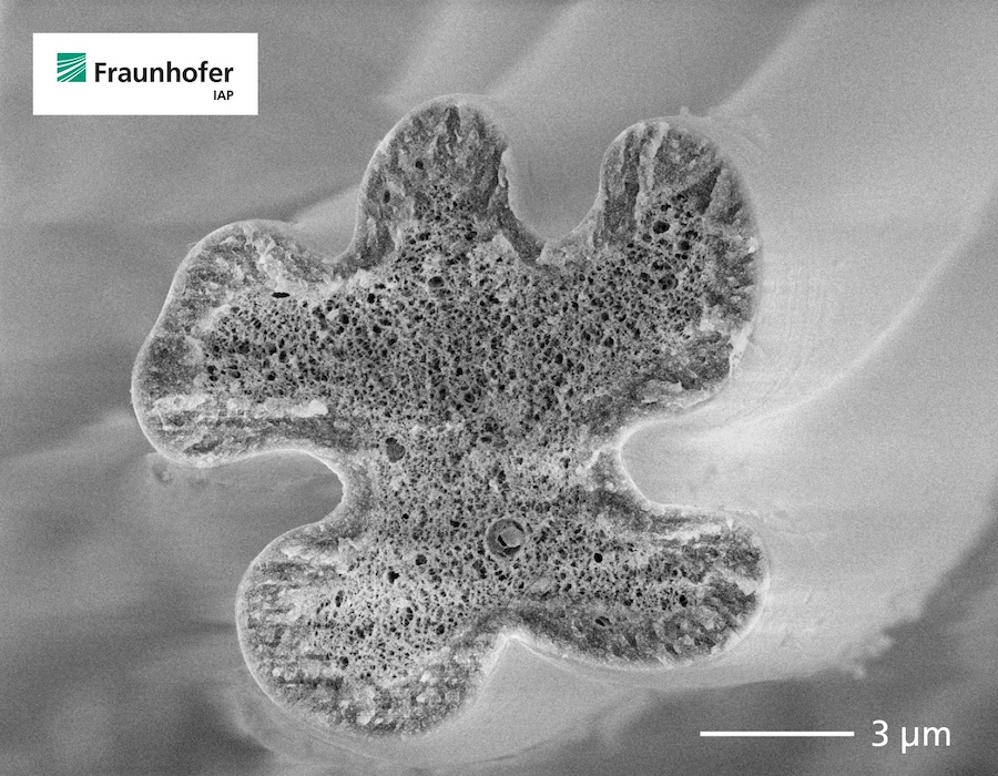 Freshly spun cellulose fiber with a lobulated cross-section under the scanning electron microscope (cryo-transfer SEM). The porous structure becomes denser during drying, the shape is retained during carbonization. © 2025 Fraunhofer IAP Freshly spun cellulose fiber with a lobulated cross-section under the scanning electron microscope (cryo-transfer SEM). The porous structure becomes denser during drying, the shape is retained during carbonization. © 2025 Fraunhofer IAP