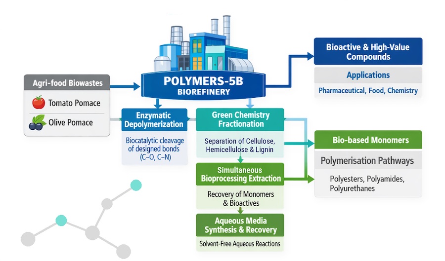 Tomato processing residues serve as feedstock for the POLYMERS-5B biorefinery, which aims to recover valuable ingredients and precursors for bio-based polymers. © 2026 POLYMERS-5B