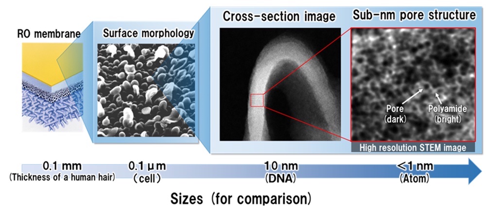 Figure. Results of RO membrane structural analysis © TORAY