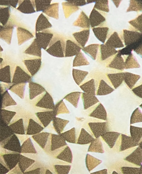 Cross-section of composite fiber before finishing © 2026 TORAY