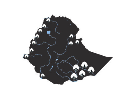 Ethiopia: Country shape with cotton production areas © Bremen Cotton Exchange Ethiopia: Country shape with cotton production areas © Bremen Cotton Exchange