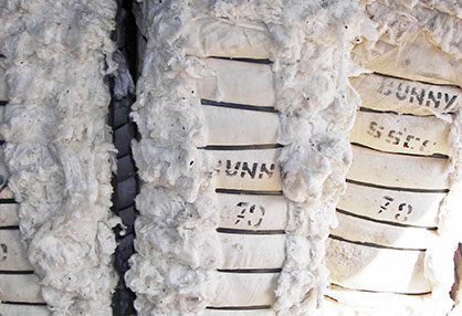 © 2022 Bremen Cotton Exchange