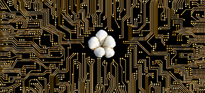 Traceability © 2022 Bremen Cotton Exchange Traceability © 2022 Bremen Cotton Exchange