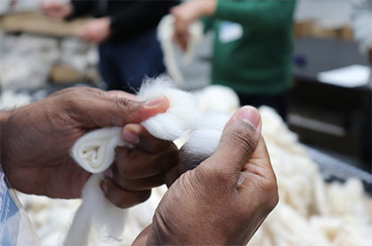 Pulling stapel © 2023 Bremen Cotton Exchange Pulling stapel © 2023 Bremen Cotton Exchange