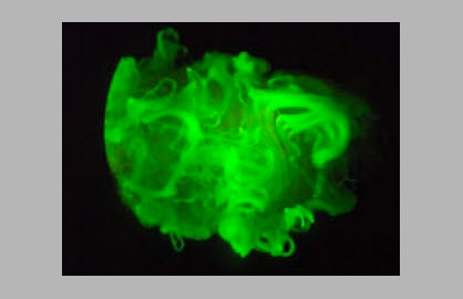 Fluorescent Cotton, © Filipe Natalio/ Universität Halle-Wittenberg Fluorescent Cotton, © Filipe Natalio/ Universität Halle-Wittenberg