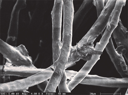 Scanning Electron Microscopic A view of fibers before digital scouring with MLSE technology Photo exclusive property of MTIX, Ltd. All rights reserved @2023 www.mti-x.com Scanning Electron Microscopic A view of fibers before digital scouring with MLSE technology Photo exclusive property of MTIX, Ltd. All rights reserved @2023 www.mti-x.com