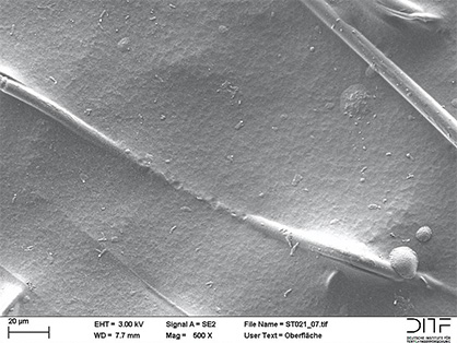 SEM-micrograph of the membrane.  © 2020 DITF
