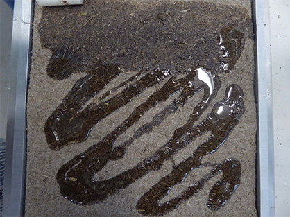 Impregnating the nonwoven with bio-based resin. Photo: DITF