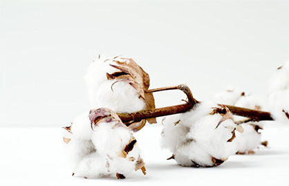 © 2020 Fashionforgood © 2020 Fashionforgood