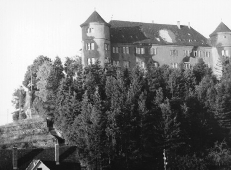 This photograph from spring 1946 shows Hohenstein Castle with camouflage paint and damage caused by shell impacts. © Hohenstein