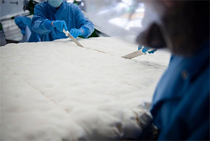 Evocative is growing its 100% bio-based mycelium in sheets put to 24 meters in length and 1.8 meters wide (© Mycelium) Evocative is growing its 100% bio-based mycelium in sheets put to 24 meters in length and 1.8 meters wide (© Mycelium)