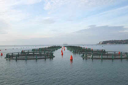 A modern seawater fish farm off the coast of Slovenia (c) 2020 Monforts A modern seawater fish farm off the coast of Slovenia (c) 2020 Monforts