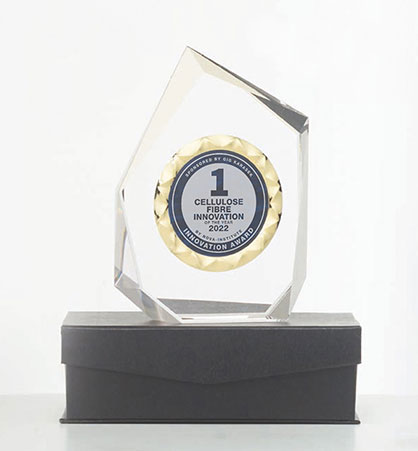 Innovation Award Trophy
Source: GIG Karasek Innovation Award Trophy
Source: GIG Karasek