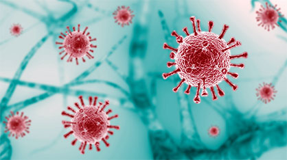 Antiviral properties of selected Sanitized® products on hard, non-porous surfaces are confirmed. (Photo: SANITIZED AG, PR030)